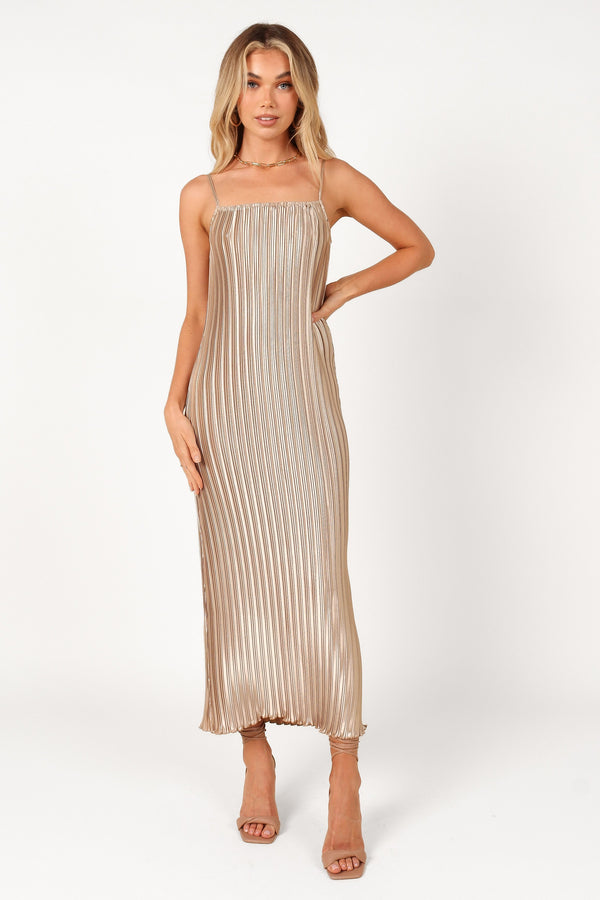 Petal and Pup USA DRESSES Liza Pleated Maxi Dress - Gold