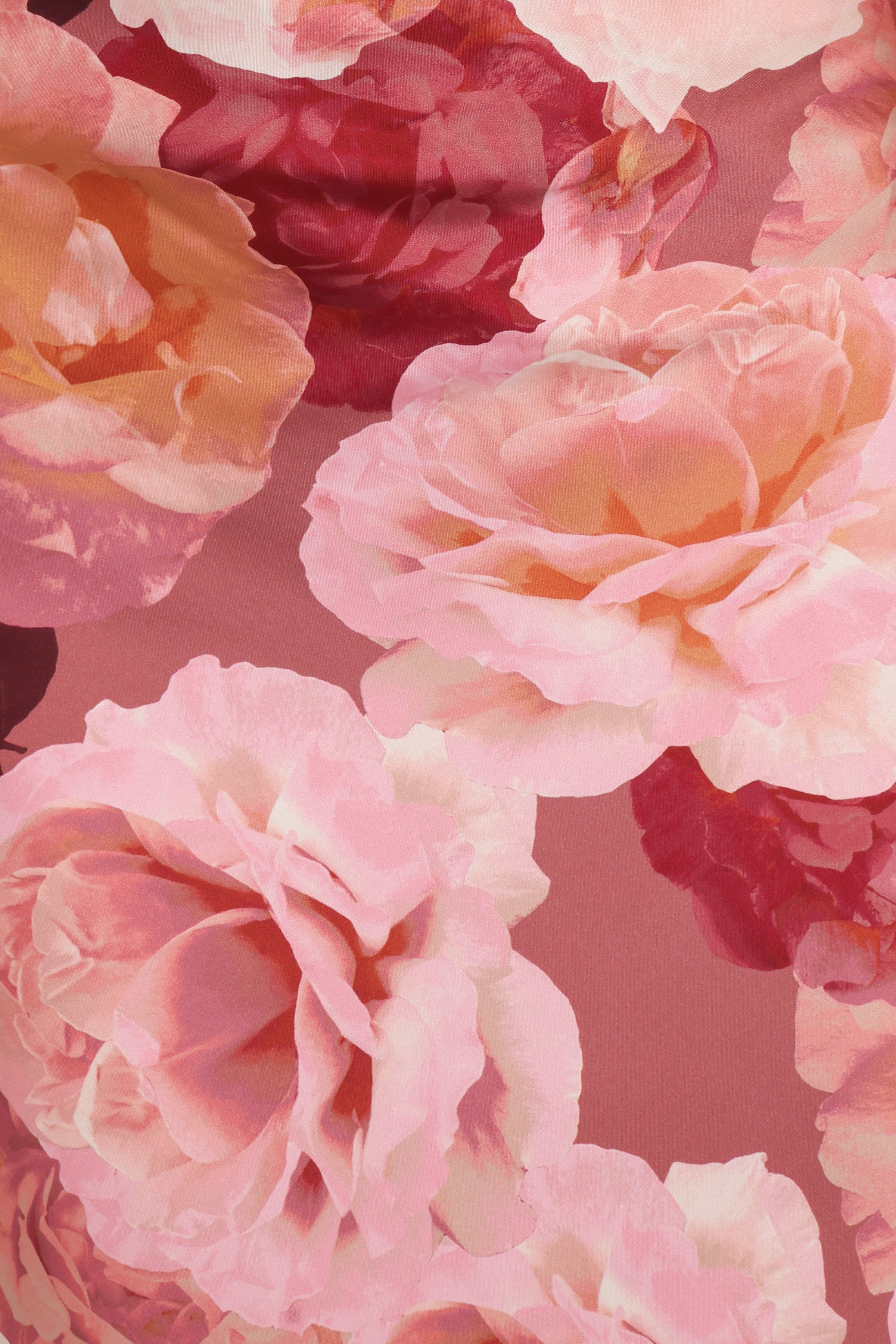 Petal and Pup USA DRESSES Lovett Maxi Halter Dress - Botanical Garden