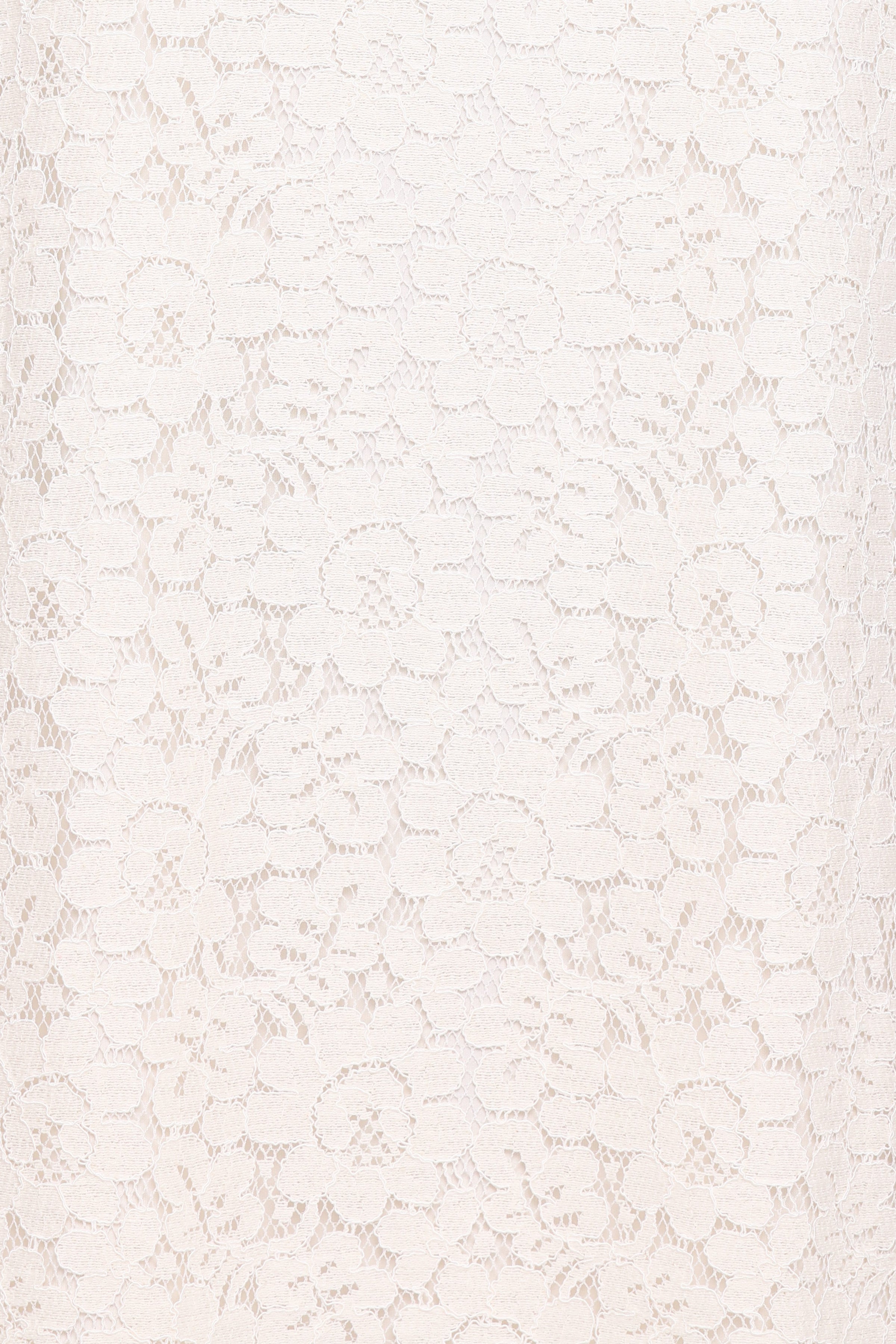 Petal and Pup USA DRESSES Lula Mini Dress - Cream Lace