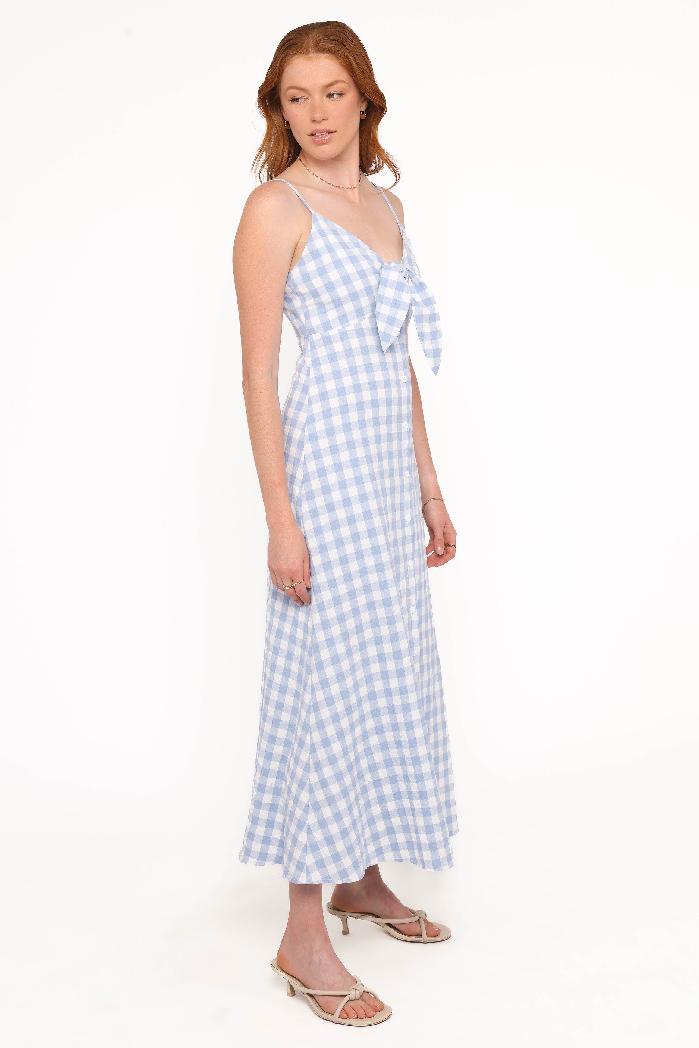 Petal and Pup USA DRESSES Menora Maxi Dress - Blue Gingham
