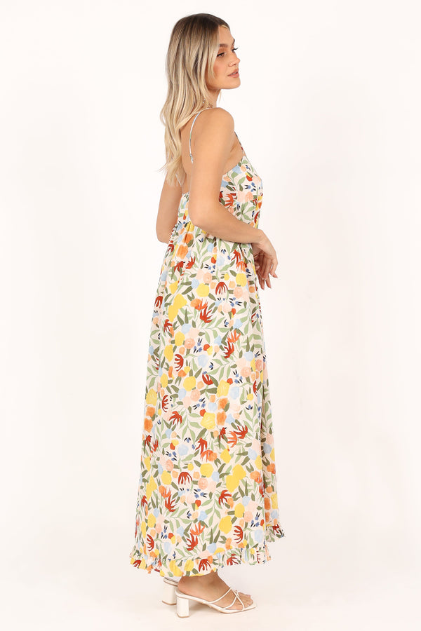 Petal and Pup USA DRESSES Miuccia Maxi Dress - Multi