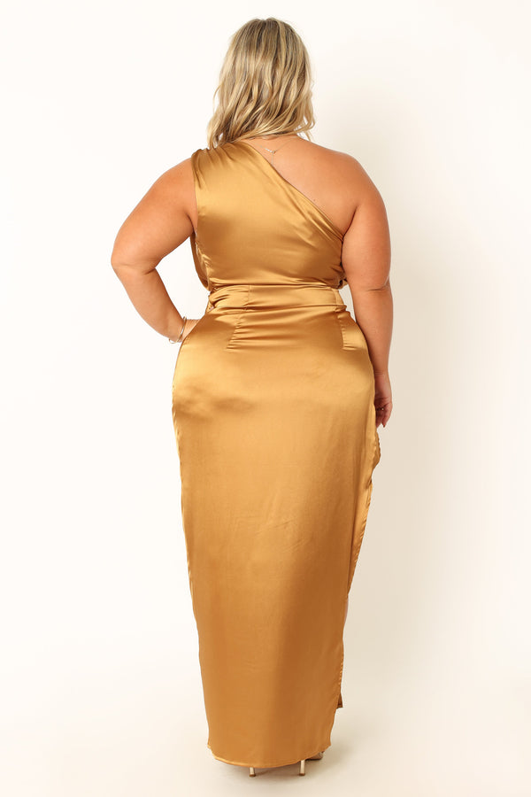 Petal and Pup USA DRESSES Nadia One Shoulder Maxi Dress - Bronze