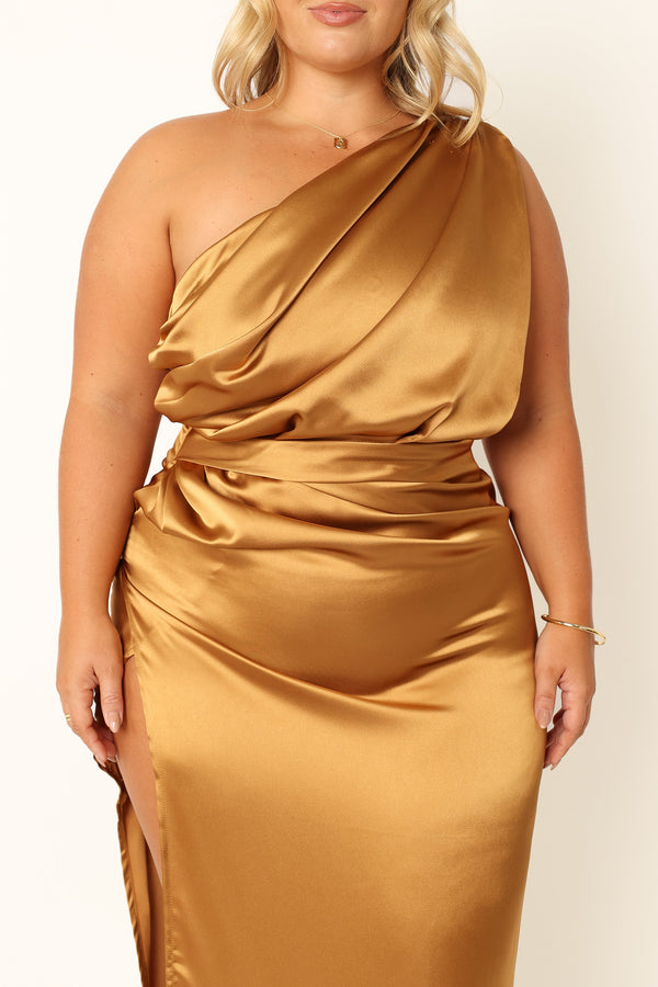 Petal and Pup USA DRESSES Nadia One Shoulder Maxi Dress - Bronze