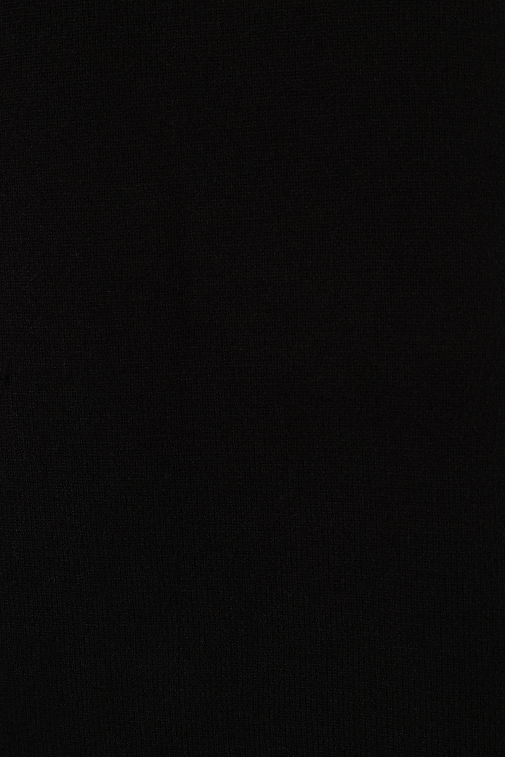 Petal and Pup USA DRESSES Nico Turtleneck Mini Dress - Black