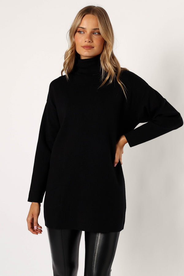 Petal and Pup USA DRESSES Nico Turtleneck Mini Dress - Black