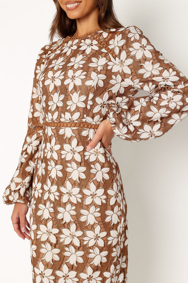 Petal and Pup USA DRESSES Pierre Long Sleeve Lace Maxi Dress - Mocha