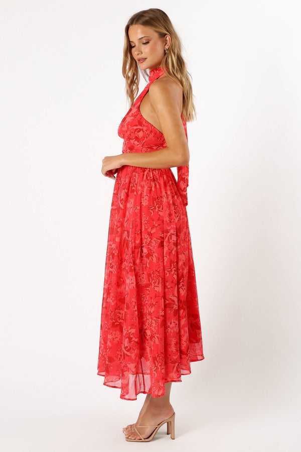 Petal and Pup USA DRESSES Primrose Halterneck Maxi Dress - Red Floral