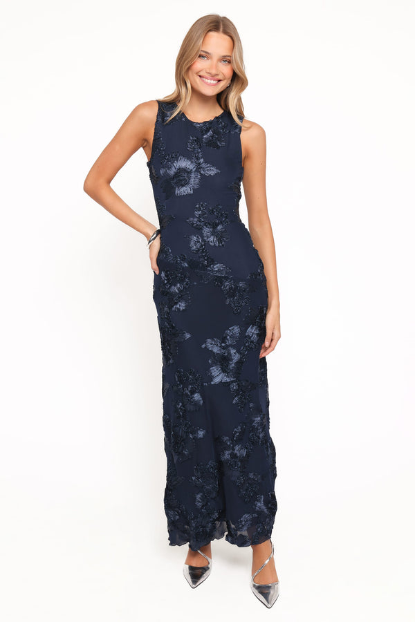 Petal and Pup USA DRESSES Ravina Maxi Dress - Blue