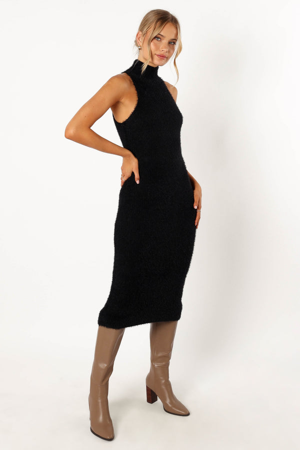 Petal and Pup USA DRESSES Sunni Turtleneck Midi Dress - Black