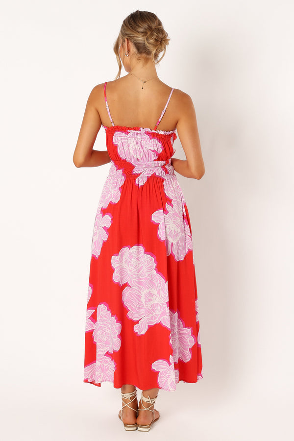 Petal and Pup USA DRESSES Sybel Midi Dress - Red Pink Floral