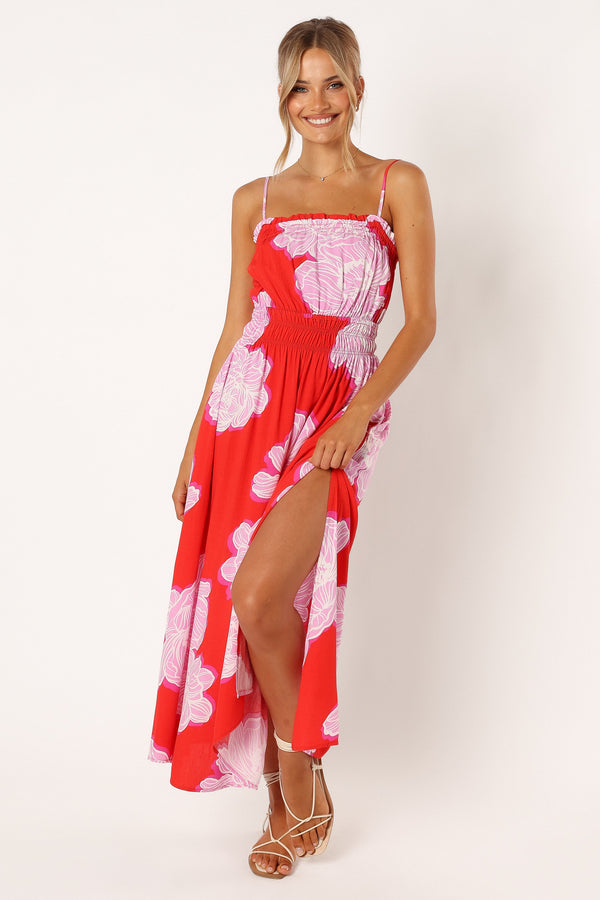 Petal and Pup USA DRESSES Sybel Midi Dress - Red Pink Floral