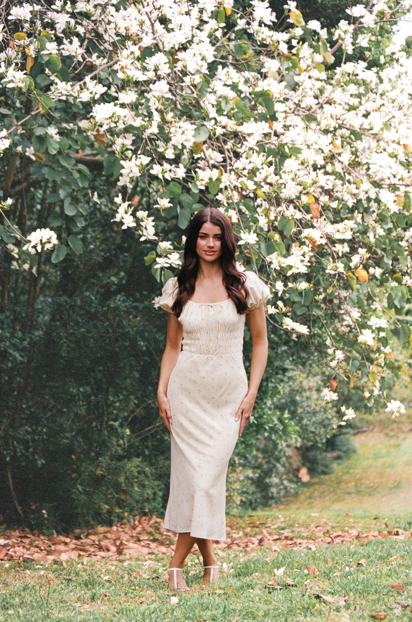 Teigan Midi Dress