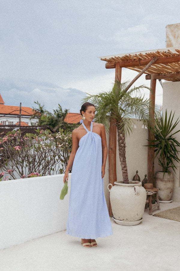 Petal and Pup USA DRESSES Theophania Maxi Dress - Pale Blue