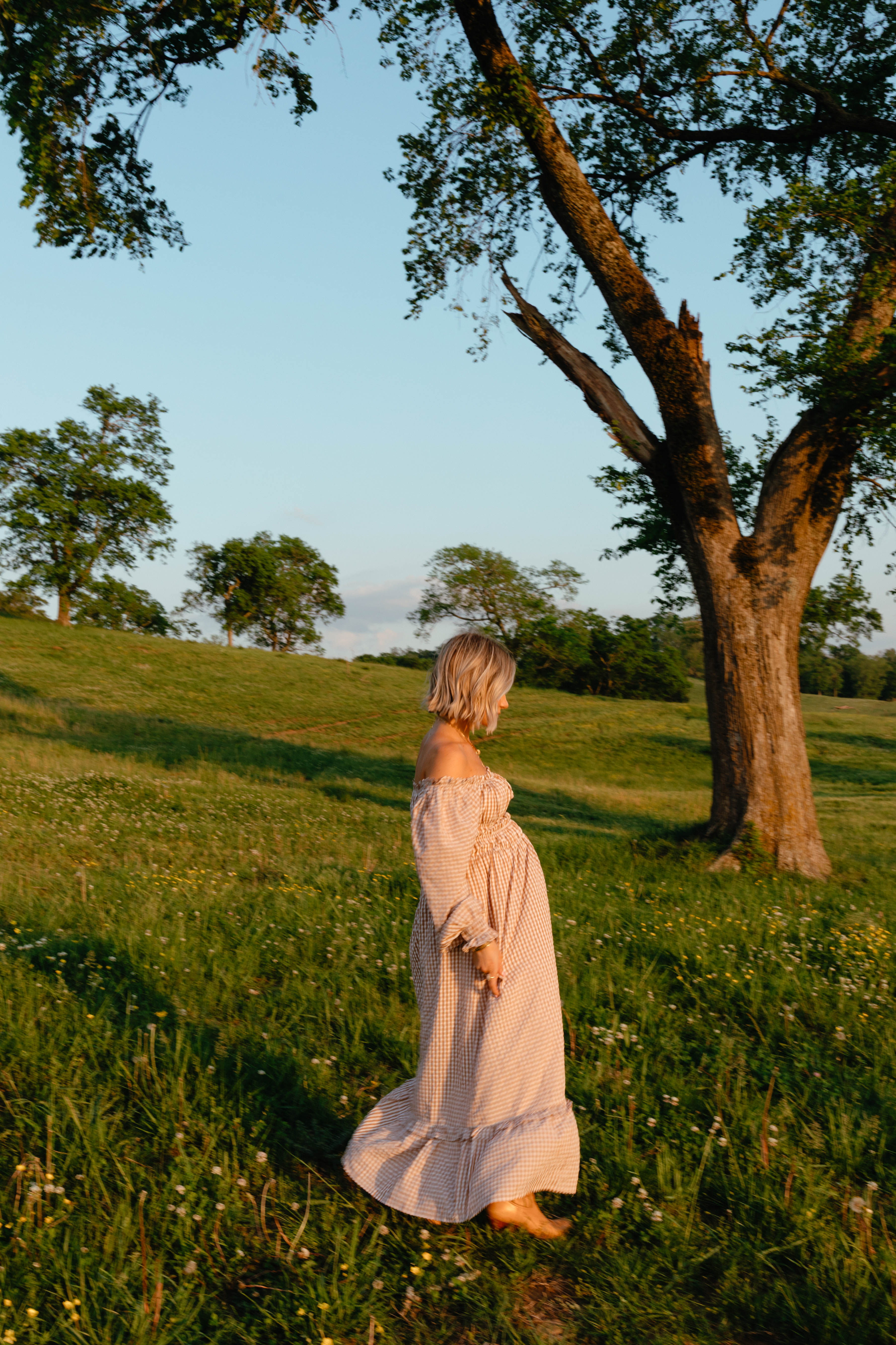 Petal and Pup USA DRESSES Torrie Maxi Dress - Brown Check