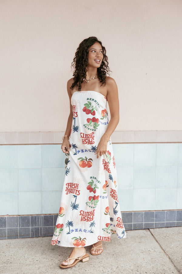 Petal and Pup USA DRESSES Valencia Maxi Dress - Tutti Fruiti (Hold for Amazon)