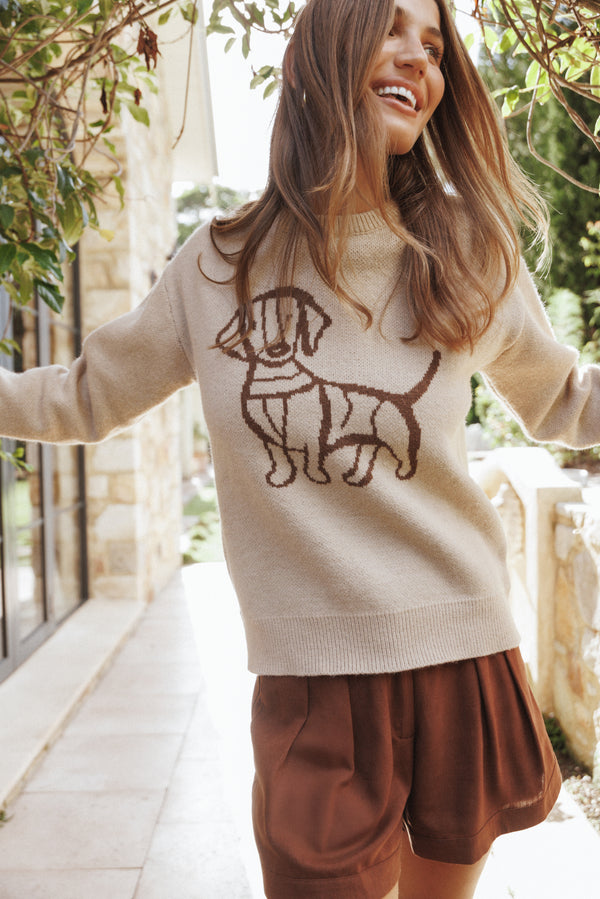 Petal and Pup USA KNITWEAR Amber Dachshund Sweater - Beige