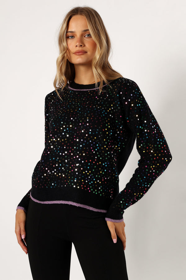 Petal and Pup USA KNITWEAR Ariella Sequin Embellished Knit Sweater - Black