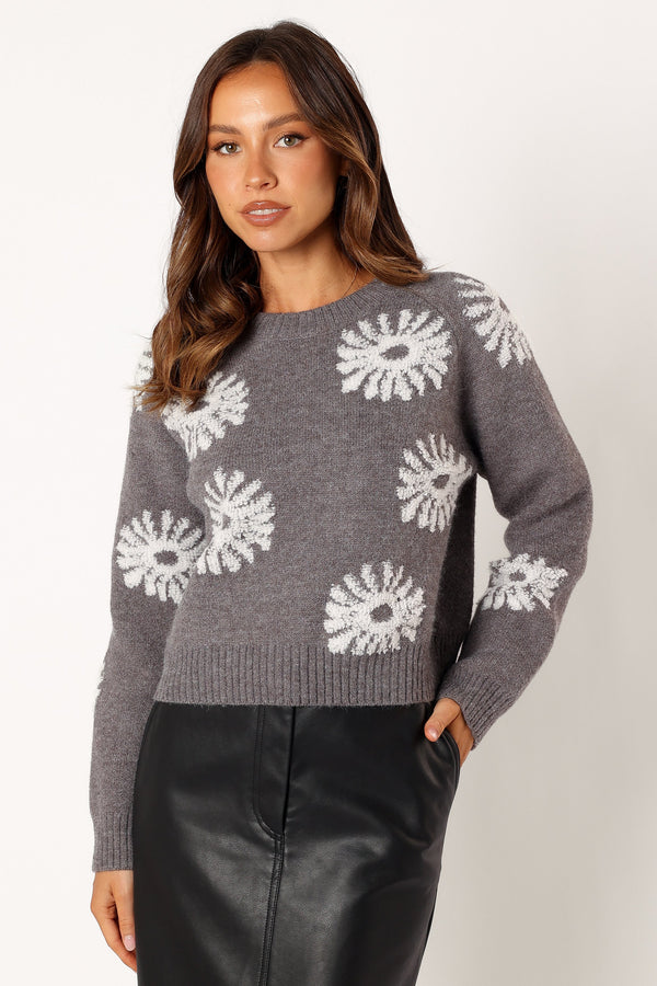 Petal and Pup USA KNITWEAR Chandler Knit Sweater - Grey White