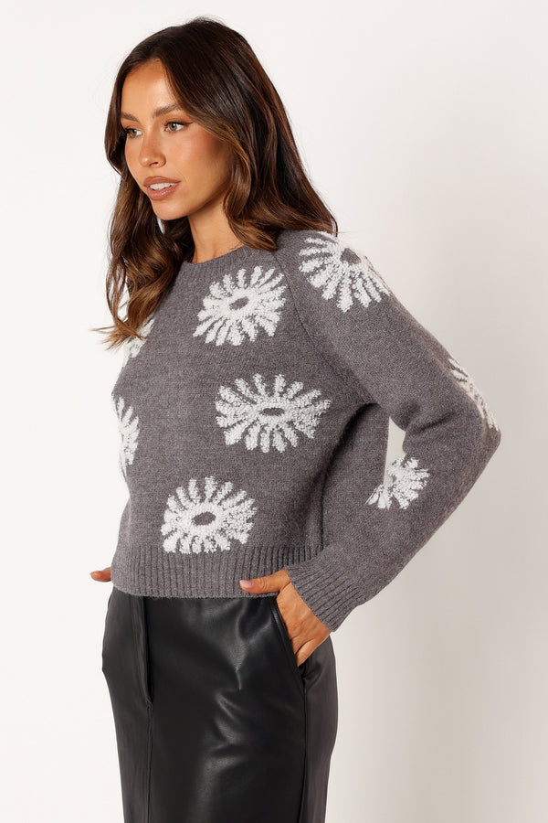 Petal and Pup USA KNITWEAR Chandler Knit Sweater - Grey White