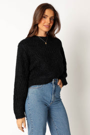 Petal and Pup USA KNITWEAR Magnolia Shimmer Knit Sweater - Black
