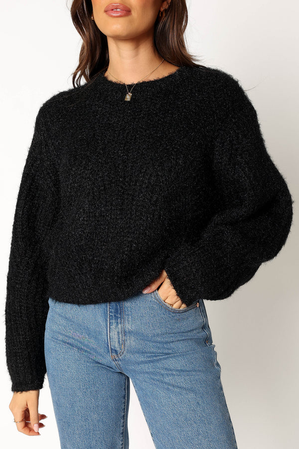 Petal and Pup USA KNITWEAR Magnolia Shimmer Knit Sweater - Black