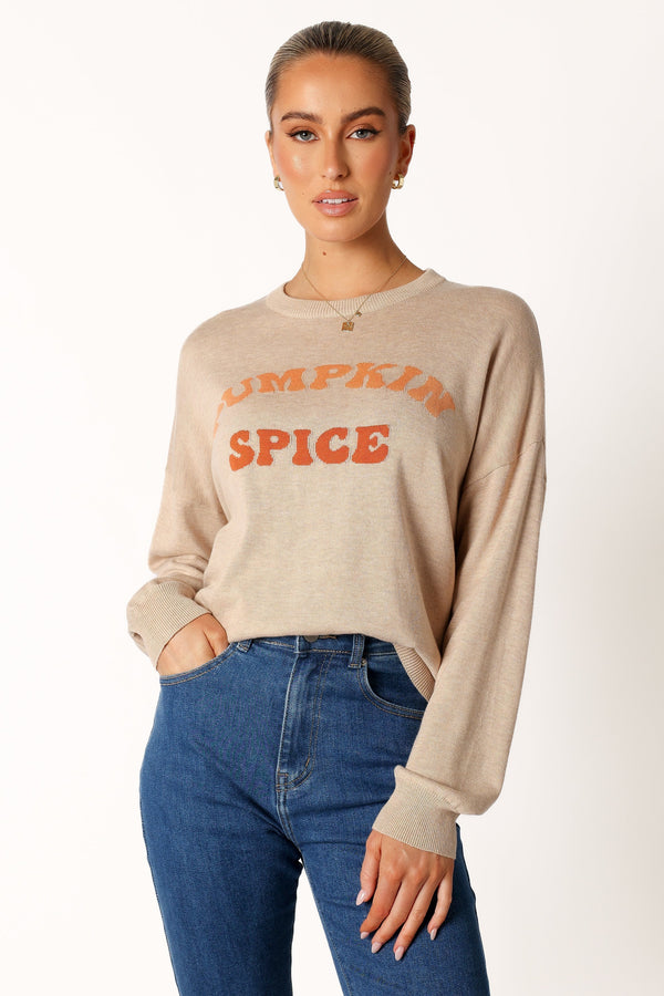 Petal and Pup USA KNITWEAR Pumpkin Spice Knit Sweater - Oatmeal