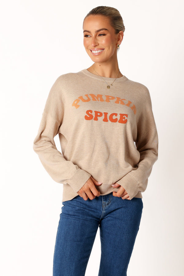 Petal and Pup USA KNITWEAR Pumpkin Spice Knit Sweater - Oatmeal