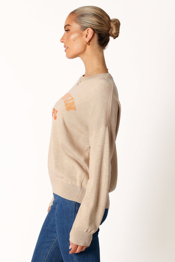 Petal and Pup USA KNITWEAR Pumpkin Spice Knit Sweater - Oatmeal