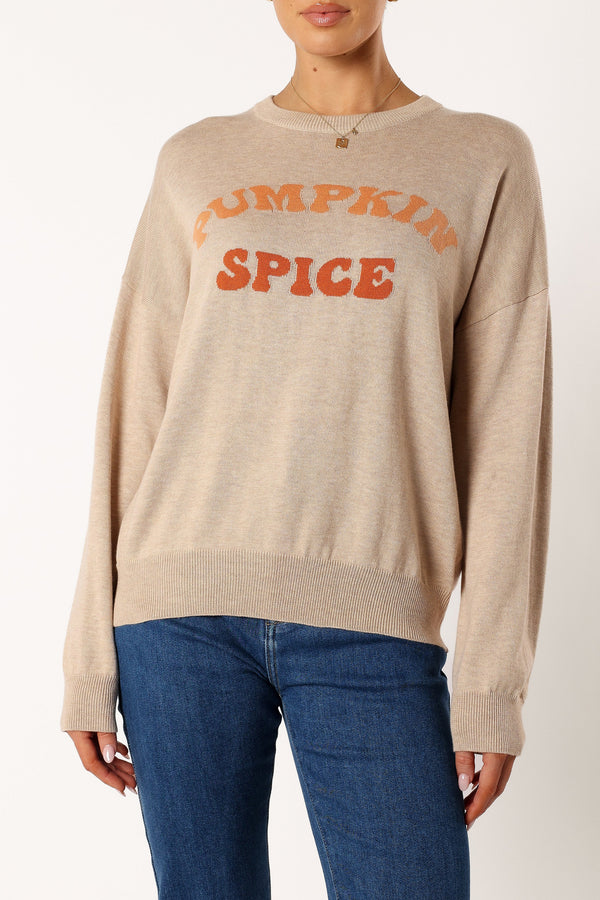 Petal and Pup USA KNITWEAR Pumpkin Spice Knit Sweater - Oatmeal