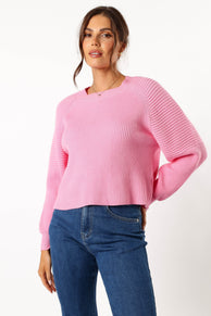 Petal and Pup USA KNITWEAR Sarah Knit Sweater - Pink