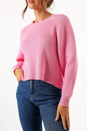 Petal and Pup USA KNITWEAR Sarah Knit Sweater - Pink