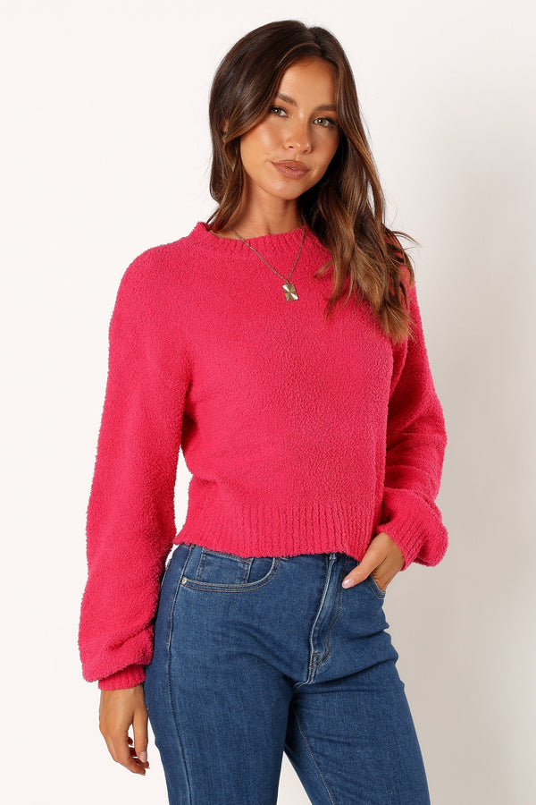 Petal and Pup USA KNITWEAR Sariah Knit Sweater - Magenta