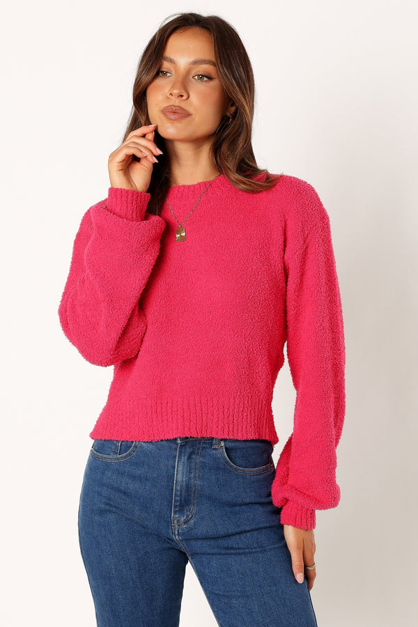 Petal and Pup USA KNITWEAR Sariah Knit Sweater - Magenta