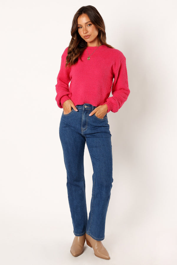 Petal and Pup USA KNITWEAR Sariah Knit Sweater - Magenta