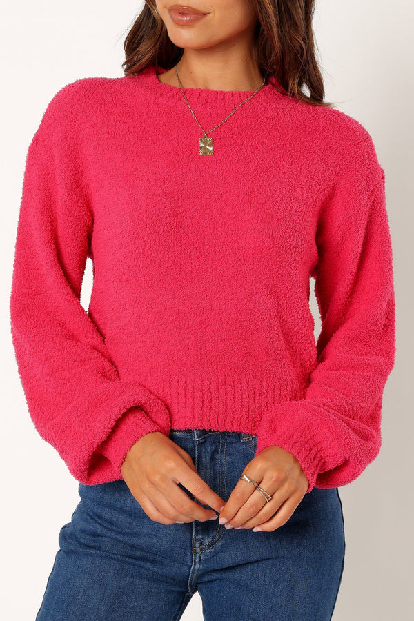 Petal and Pup USA KNITWEAR Sariah Knit Sweater - Magenta