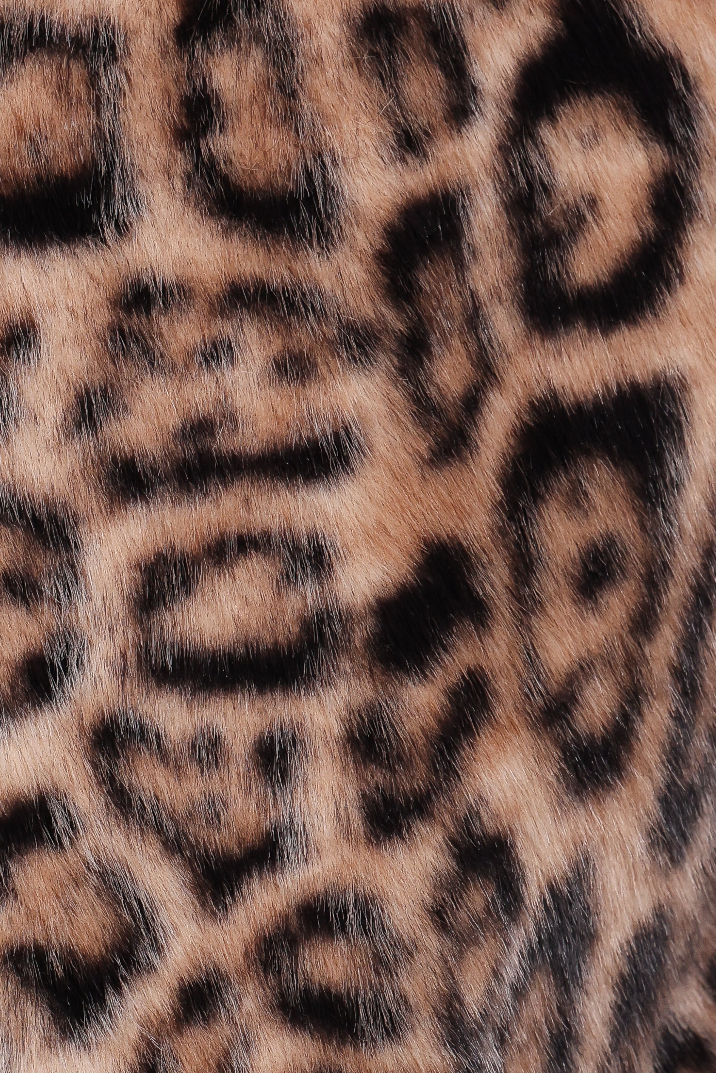 Petal and Pup USA OUTERWEAR Florian Cropped Jacket - Leopard