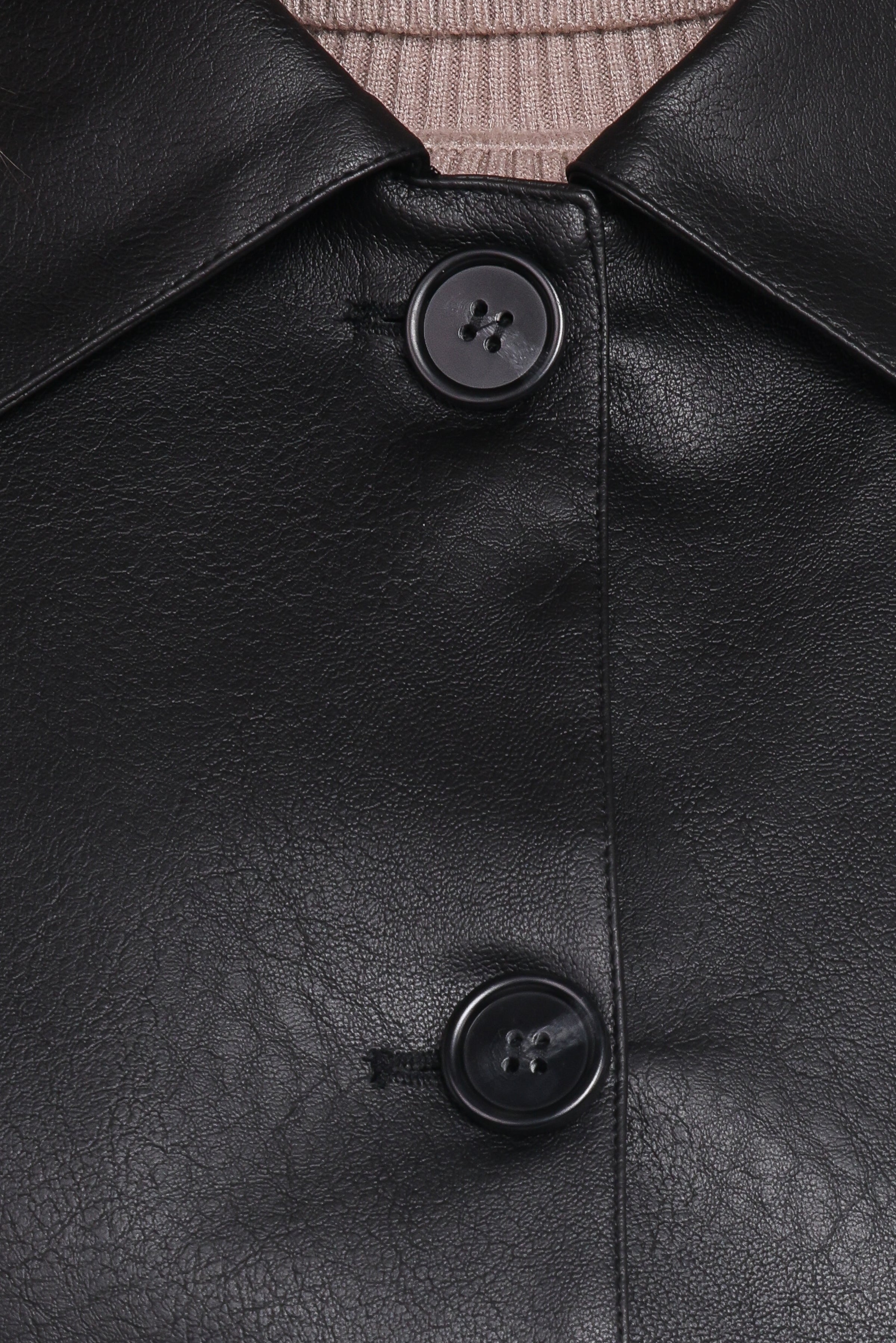 Petal and Pup USA OUTERWEAR Hope Crop Faux Leather Jacket - Black