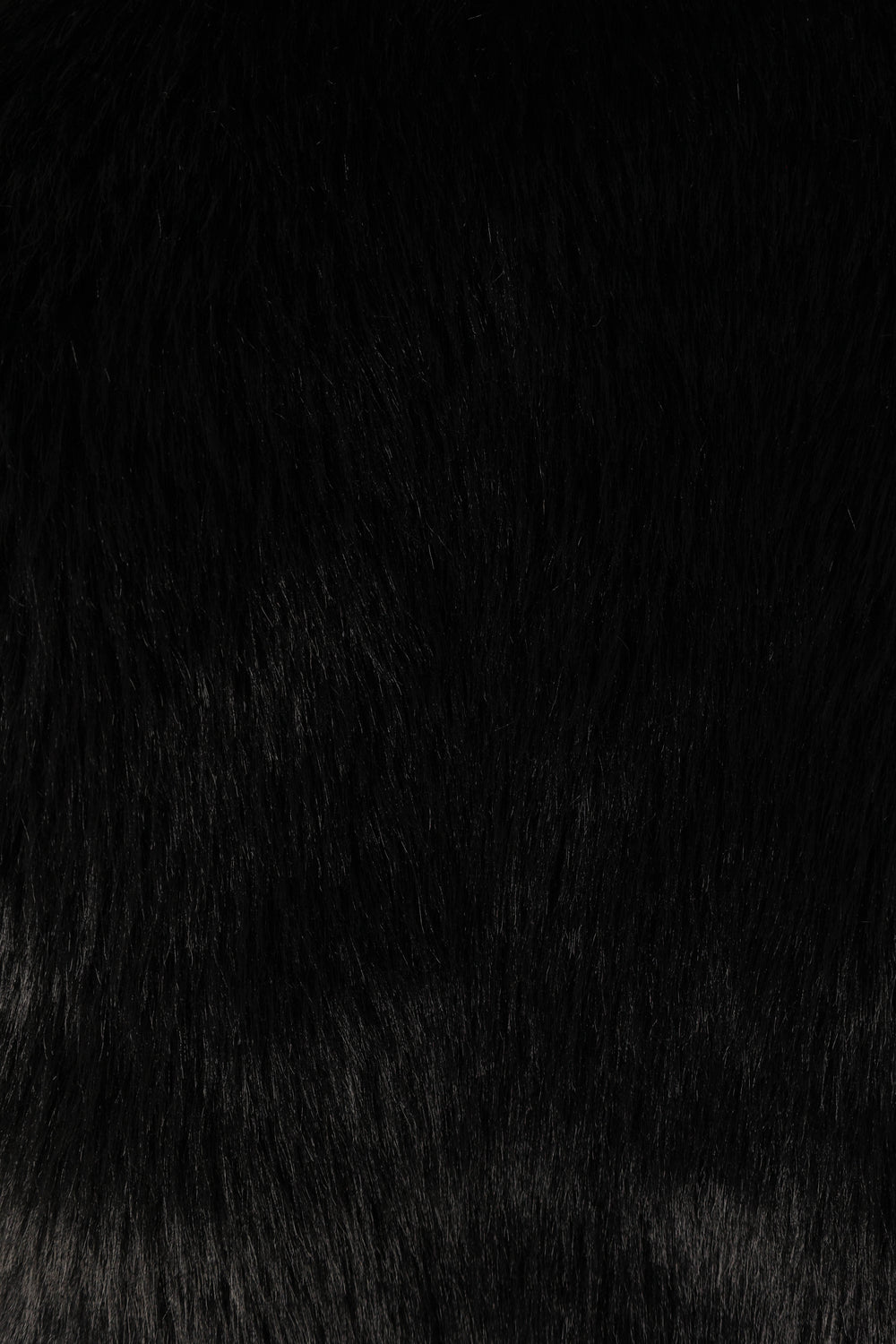 Petal and Pup USA OUTERWEAR Sarai Faux Fur Jacket - Black