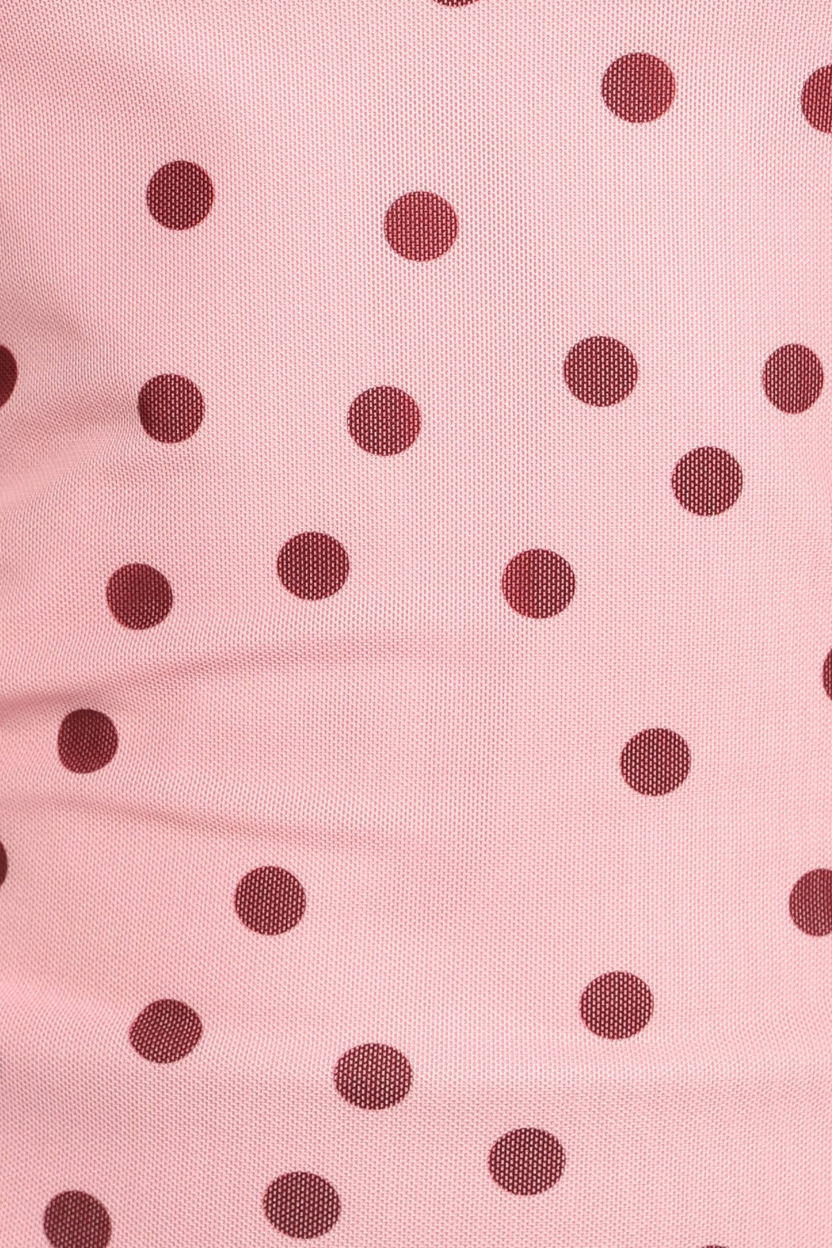 TOPS Tyla Mesh Long Sleeve Top - Pink Dot