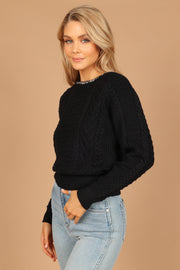 Petal and Pup USA Knitwear Liv Chain Detail Knit Sweater - Black